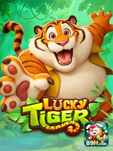 Lucky Tiger Slot no 89h.com